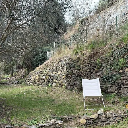 Oda ve Kahvaltı Girasole