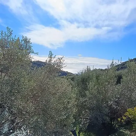 Girasole Oda ve Kahvaltı